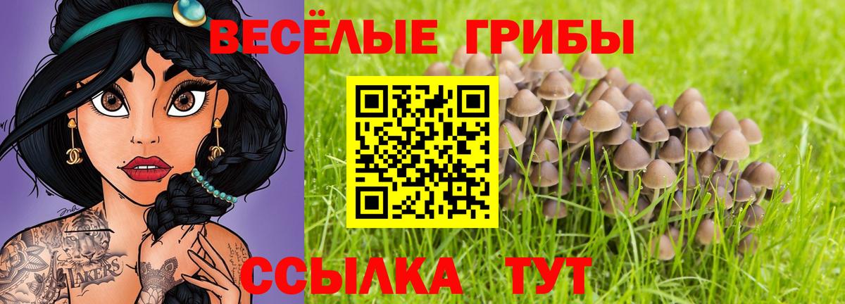 Галлюциногенные грибы ЛСД  Вход с VPN  Партизанск 