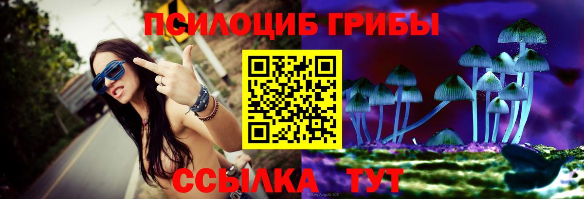 Галлюциногенные грибы GOLDEN TEACHER Партизанск